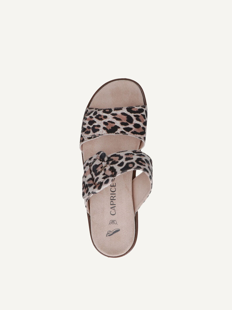 Slipper, LEO, hi-res